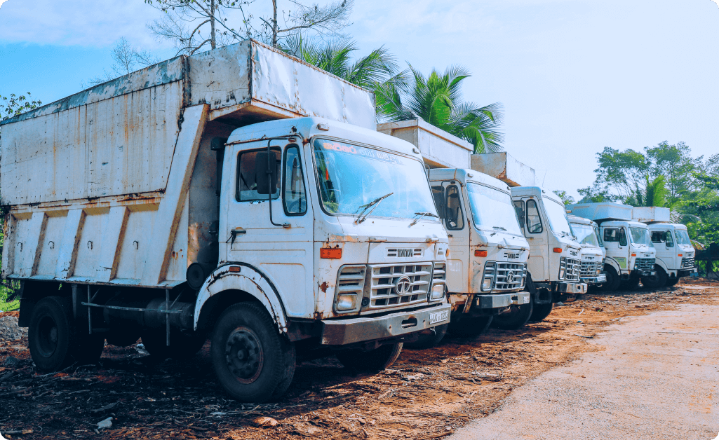Biomass Fuel